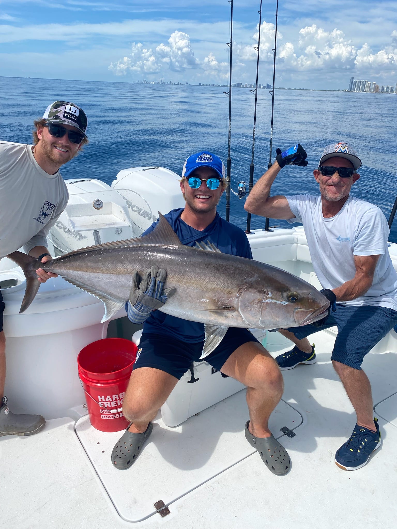 Amberjack