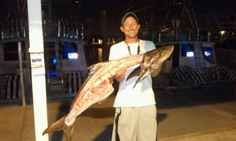 Cobia
