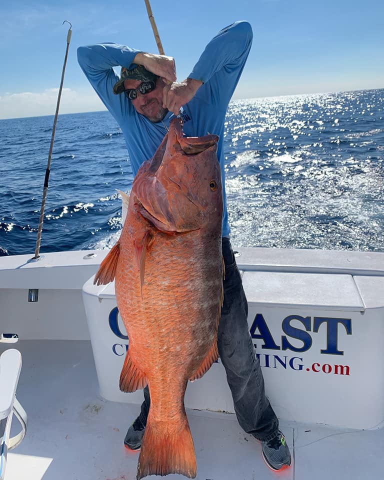 Cubera Snapper