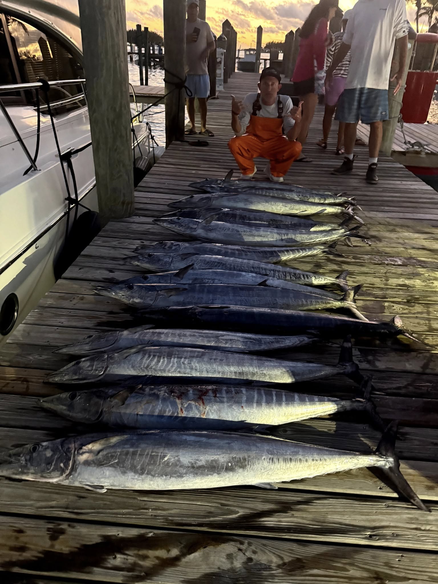 Wahoo